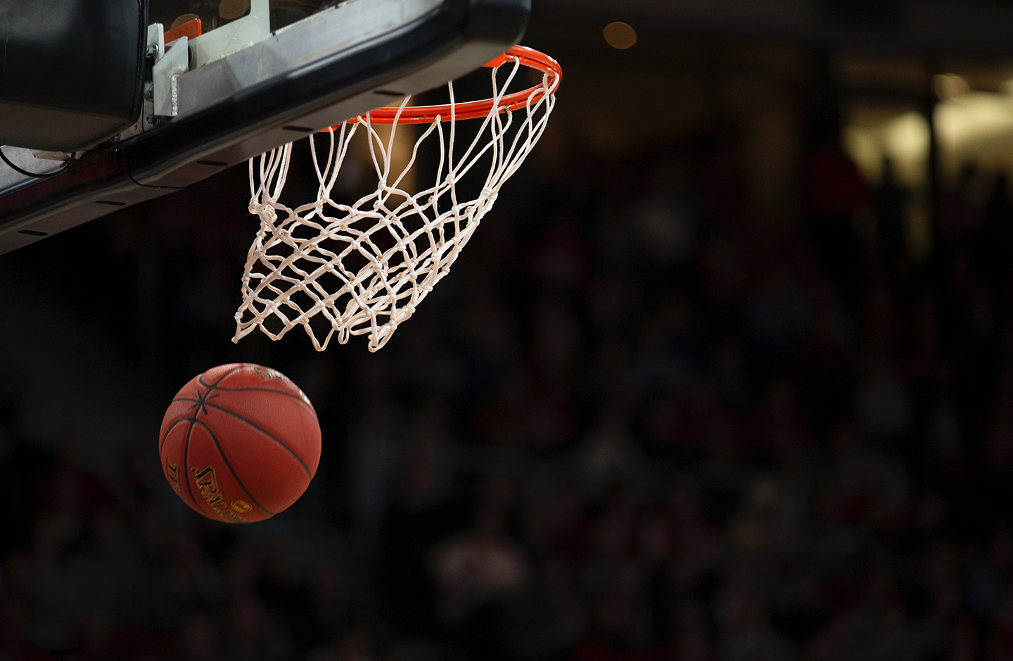 THE ENDURING ALLURE OF BASKETBALL: WHY IT CAPTIVATES FANS