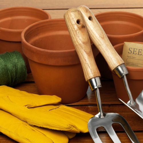 Beginner’s Gardening Kit