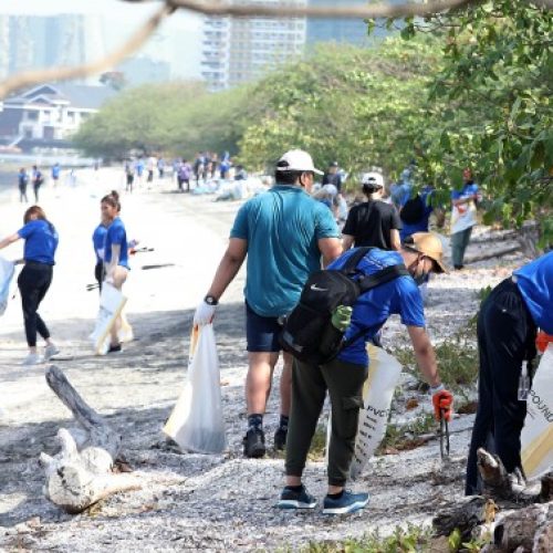 Youth as Ocean Champions: How the Next Generation Can Lead in Marine Conservation and Climate Adaptation